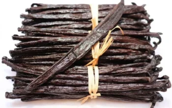 Vanilla: Its Origins, Cultivation, and Global Significance